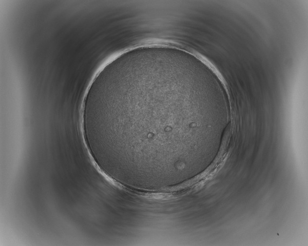 X0000115401437200911101503
