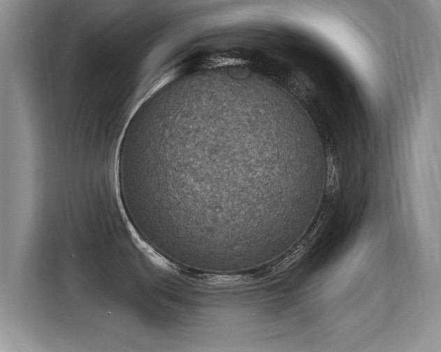 X0000115401439200911101503