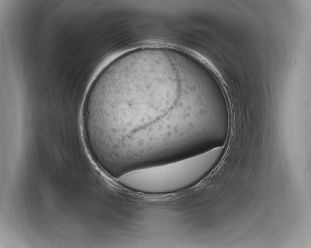 X0000115401440200911101503