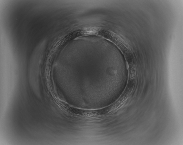 X0000115401441200911101503