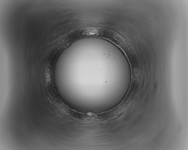 X0000115401442200911101503