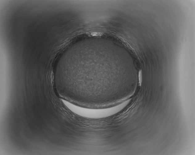 X0000115401443200911101503