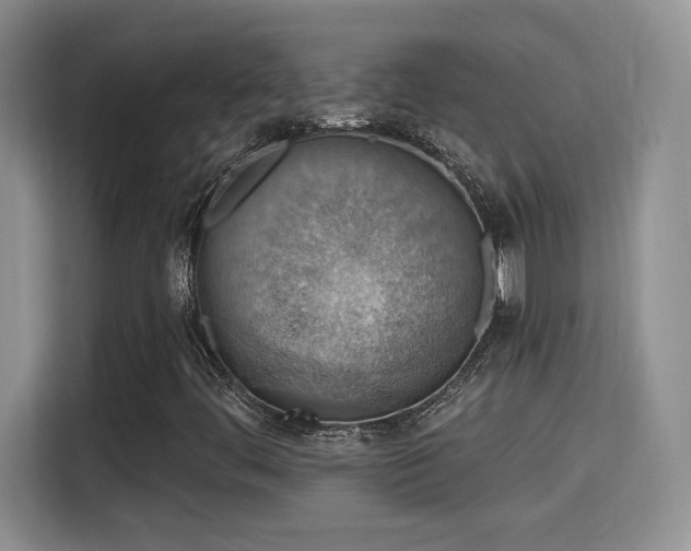 X0000115401444200911101503