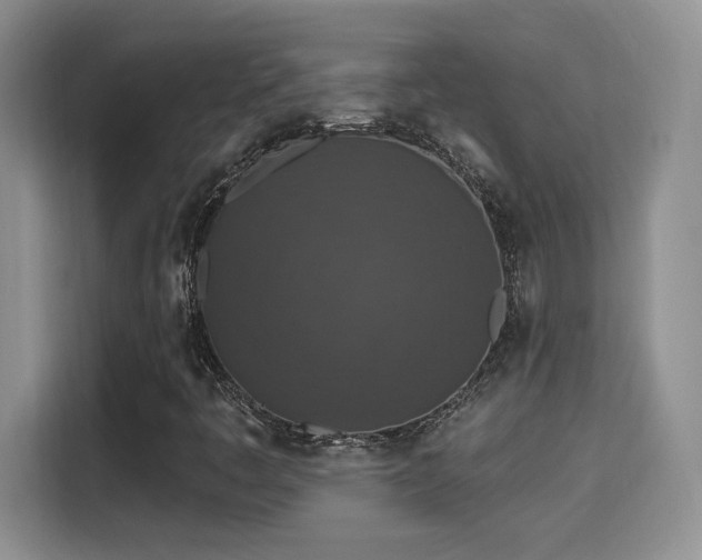 X0000115401445200911101503