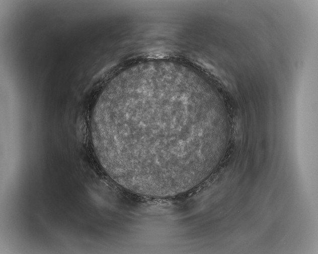 X0000115401446200911101503