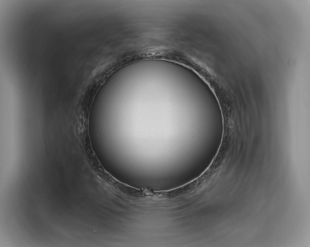 X0000115401447200911101503