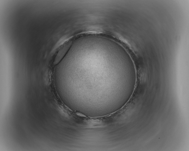 X0000115401448200911101503