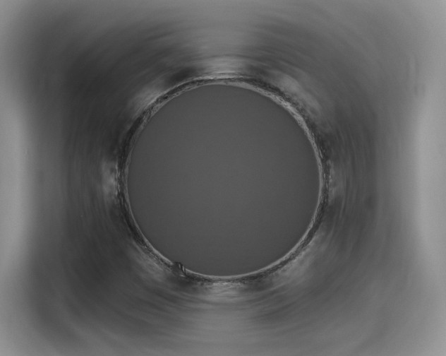 X0000115401449200911101503