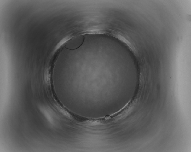 X0000115401450200911101503