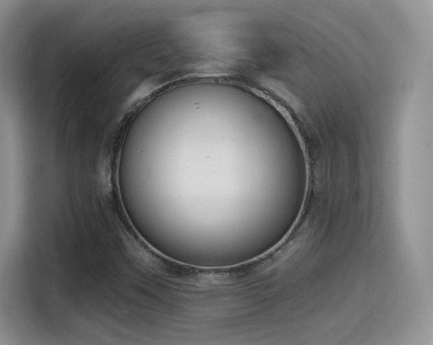 X0000115401451200911101503