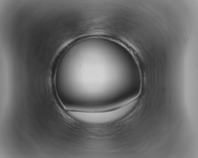 X0000115401452200911101503