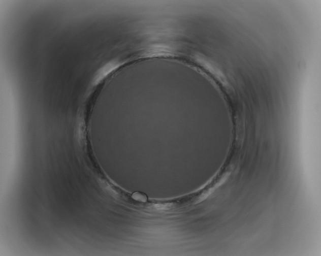 X0000115401453200911101503
