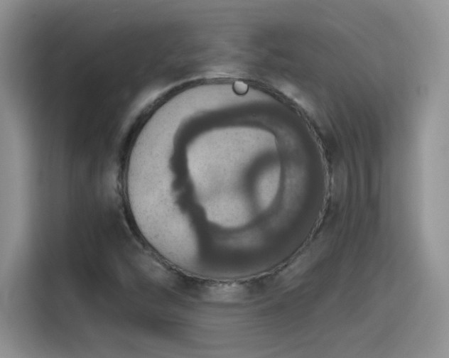 X0000115401454200911101503