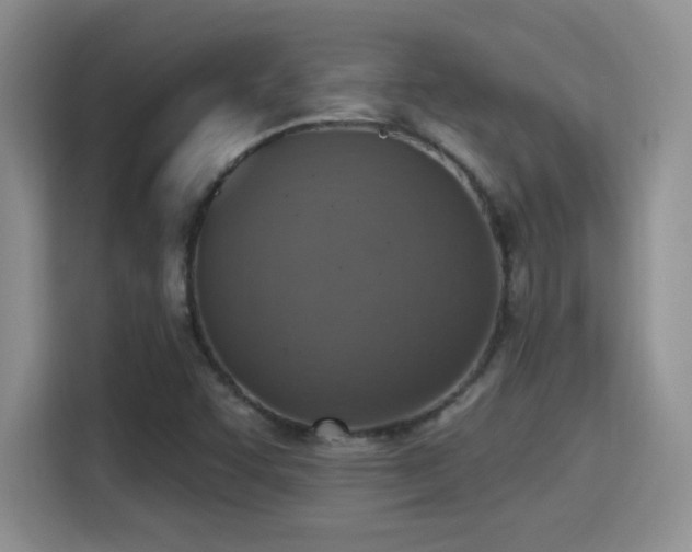X0000115401455200911101502