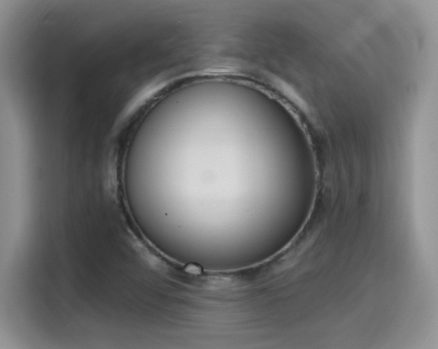 X0000115401456200911101502