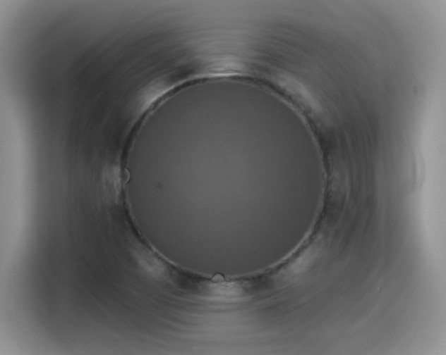 X0000115401457200911101502