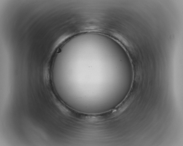 X0000115401458200911101502