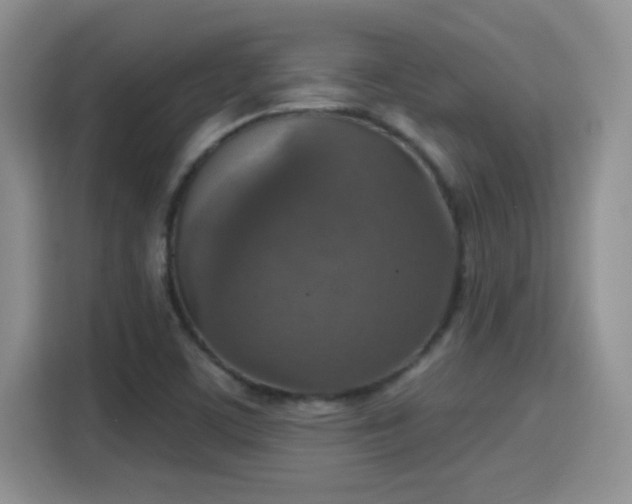 X0000115401459200911101502