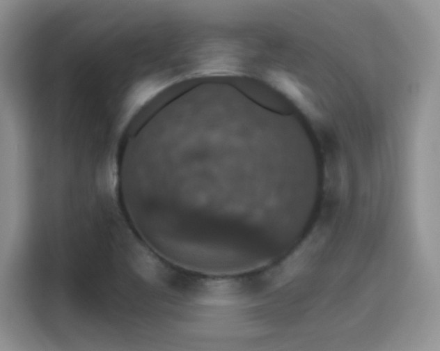 X0000115401461200911101502