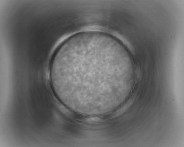 X0000115401462200911101502