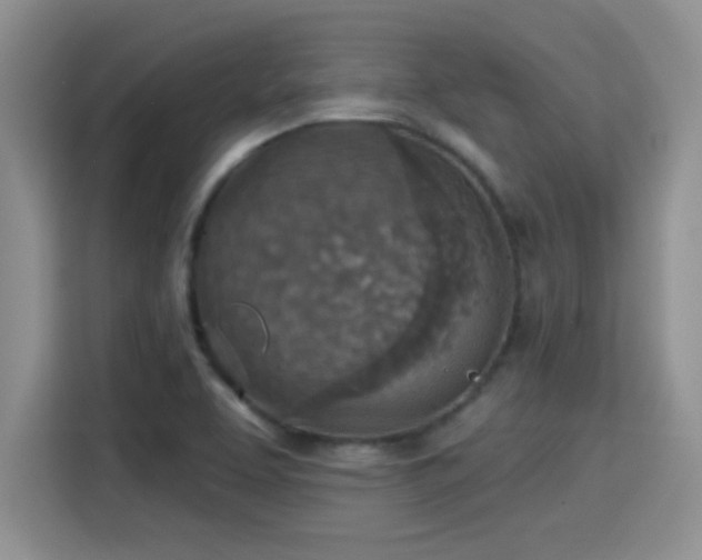 X0000115401463200911101502