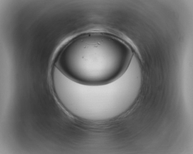 X0000115401464200911101502