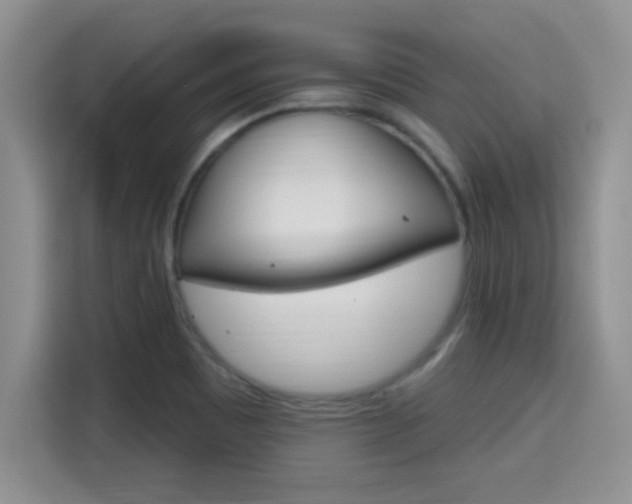 X0000115401465200911101502
