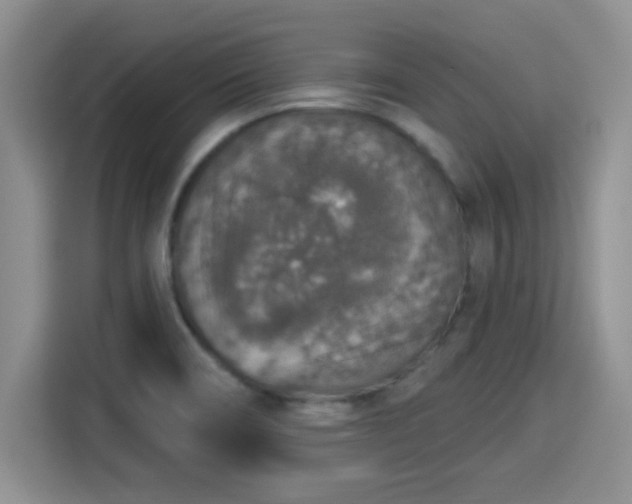 X0000115401466200911101502