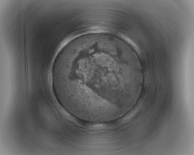 X0000115401467200911101502