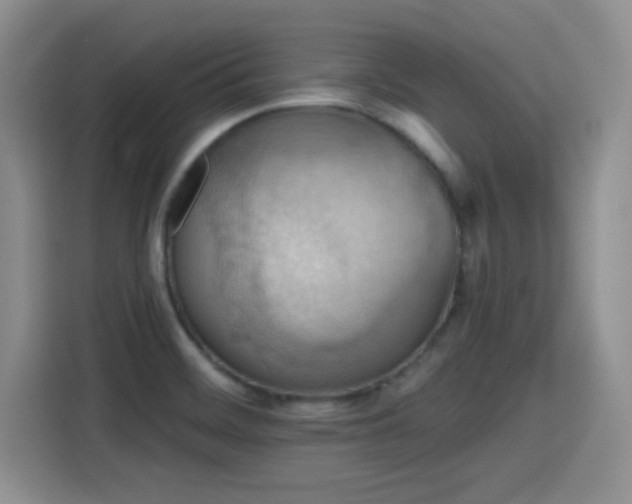 X0000115401468200911101502