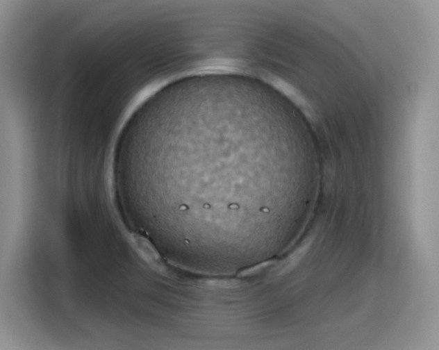 X0000115401469200911101502