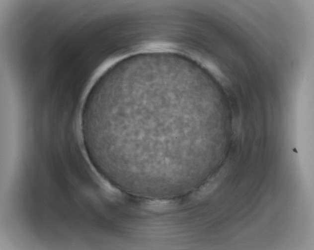 X0000115401470200911101502