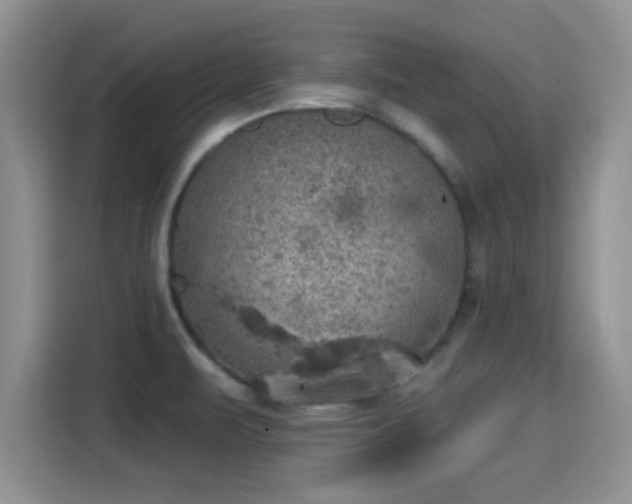 X0000115401471200911101502