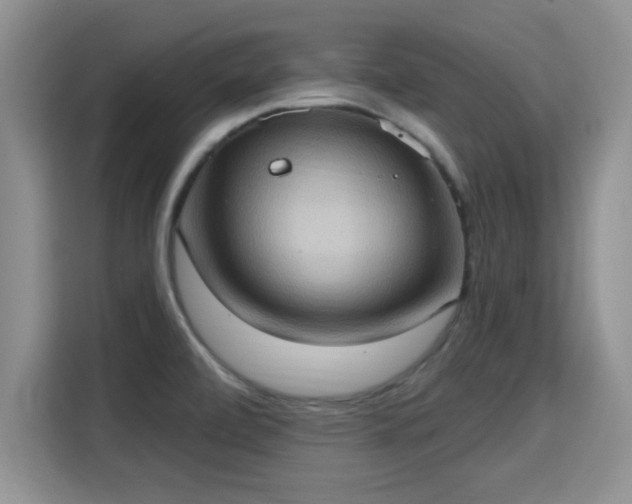 X0000115401472200911101502