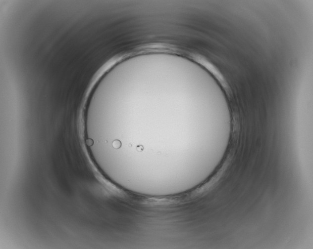 X0000115401474200911101502
