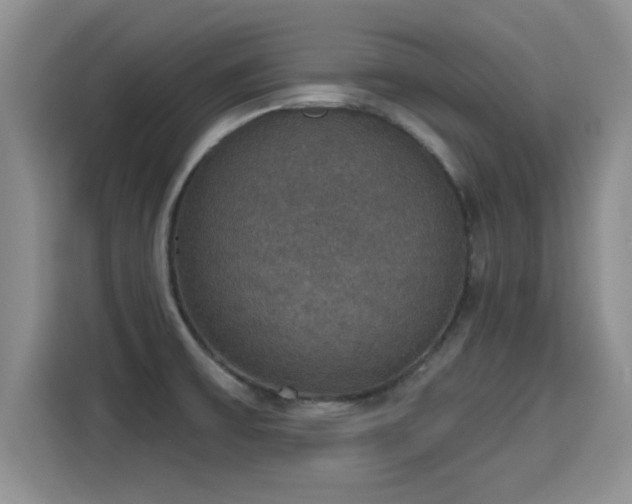 X0000115401475200911101502