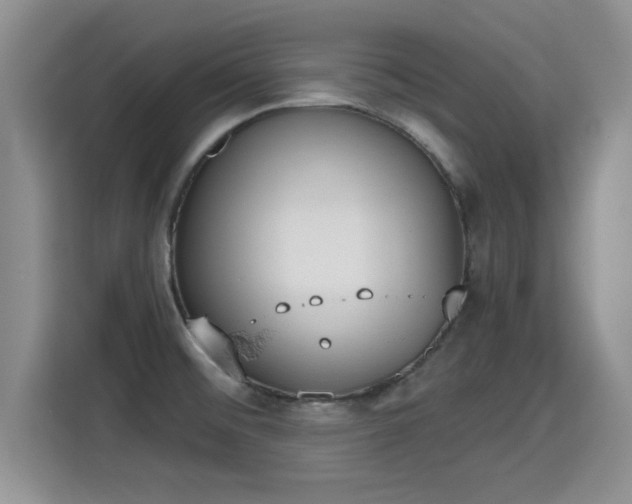 X0000115401476200911101502