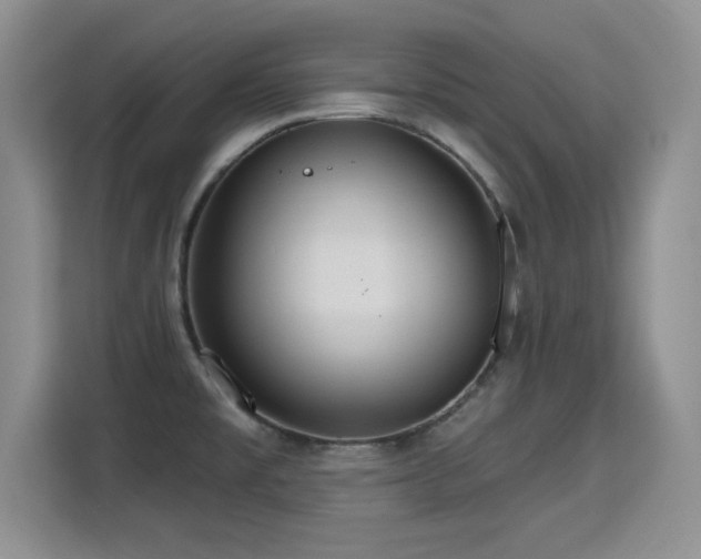X0000115401477200911101502