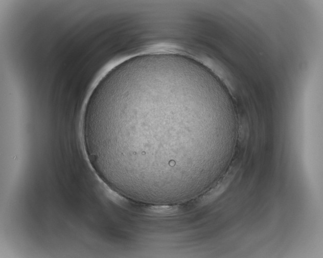 X0000115401478200911101502
