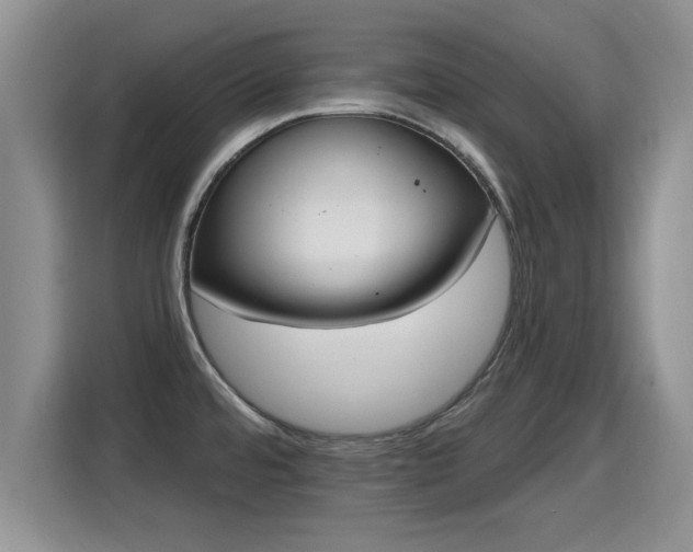 X0000115401480200911101502