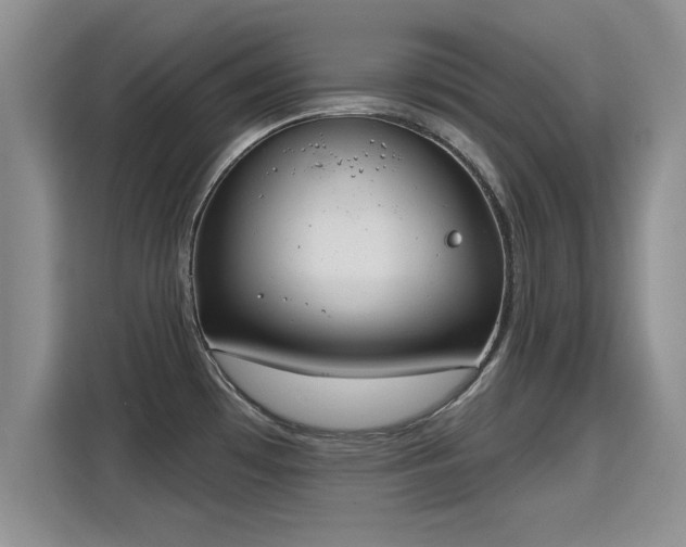 X0000115401481200911101502