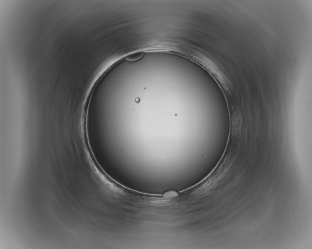 X0000115401484200911101502