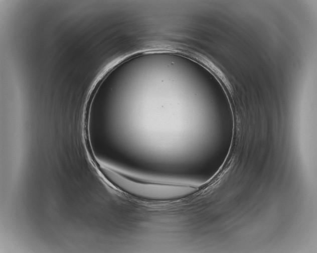 X0000115401485200911101502