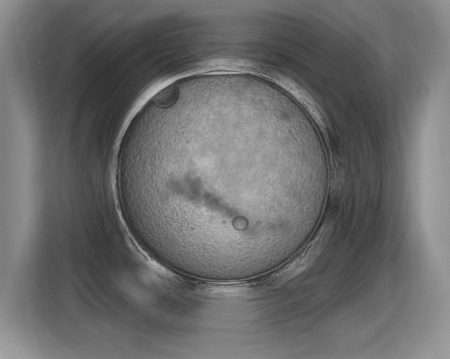 X0000115401486200911101502