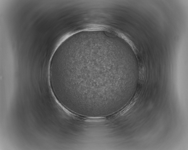 X0000115401487200911101502