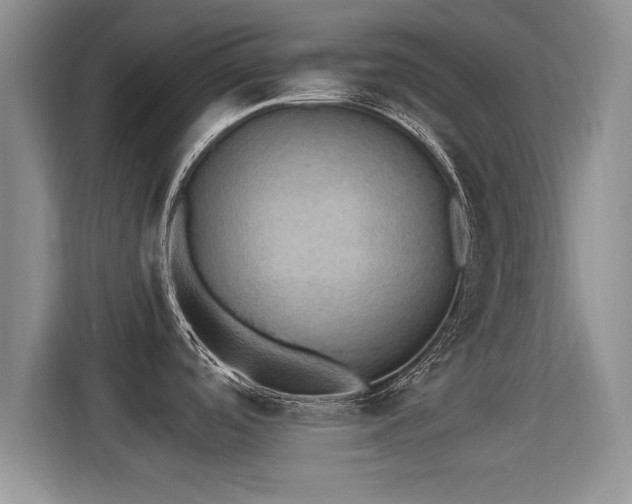 X0000115401488200911101502