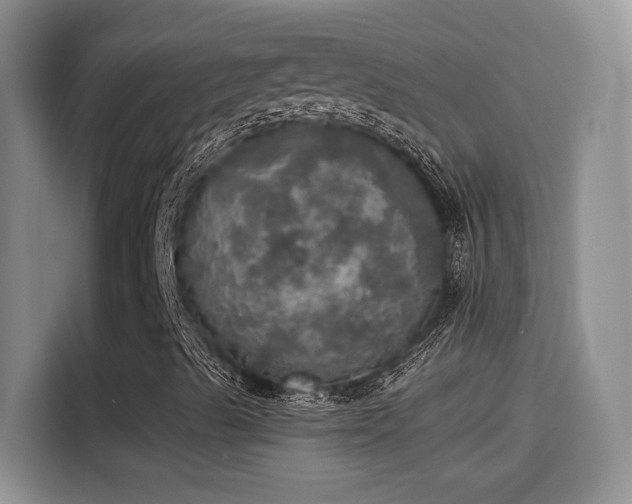 X0000115401489200911101501