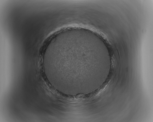 X0000115401494200911101502