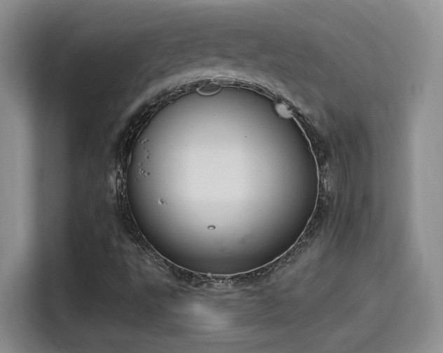 X0000115401495200911101502
