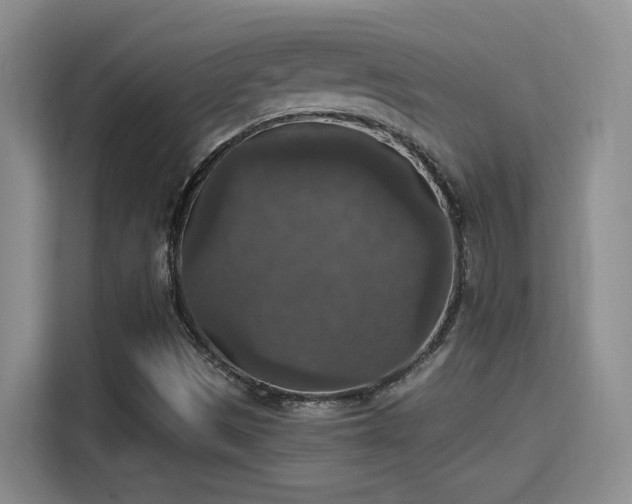 X0000115401497200911101502